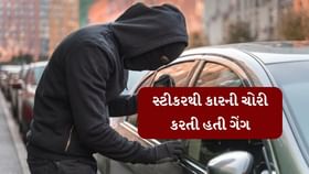 આ રીતે હાઇટેક ચોરો કારની ચોરી કરે છે, જુઓ વીડિયો