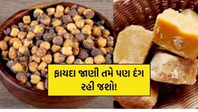 શિયાળામાં દાળિયા અને ગોળ એકસાથે ખાવાના ફાયદા જાણી તમે પણ દંગ રહી જશો!