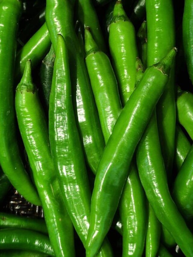 Green Chili Benefits : દરરોજ લીલા મરચા ખાવાથી થશે આ ફાયદા