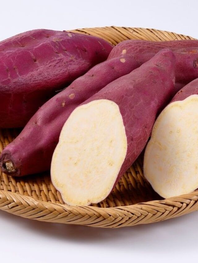 શિયાળામાં દરરોજ શક્કરિયા ખાવાથી શું ફાયદા થાય છે? જાણી લો