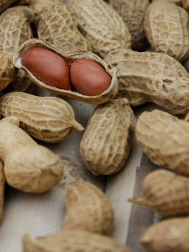 શું મગફળી ખાધા પછી પાણી પીવું જોઈએ?