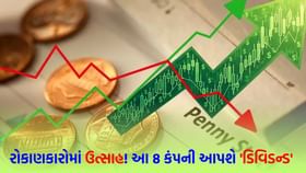 આ 8 કંપની આપશે 'ડિવિડન્ડ', રોકાણકારોમાં ઉત્સાહ