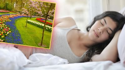 સ્વપ્નોને વ્યક્તિના ઊંડા ભવિષ્યની નિશાની માનવામાં આવે છે. સ્વપ્ન વિજ્ઞાન જણાવે છે કે દરેક સ્વપ્ન કંઈકને કંઈક પ્રગટ કરે છે. કેટલાક સપના શુભ હોય છે, જ્યારે કેટલાક અશુભ હોય છે.