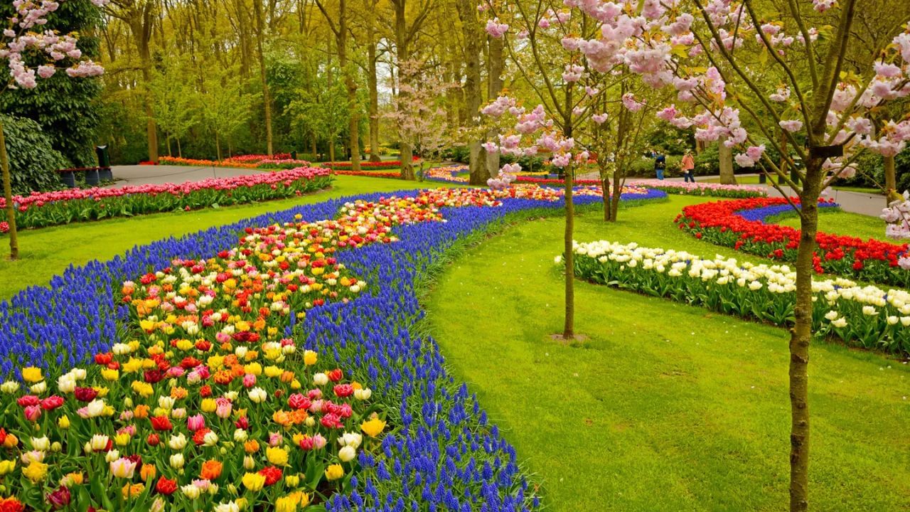 बगीचा: स्वप्न शास्त्र के अनुसार, सपने में हरे-भरे पेड़ों या फूलों वाला बगीचा देखना बहुत ही शुभ संकेत होता है। ऐसा सपना इस बात का संकेत देता है कि कोई शुभ समाचार मिलने वाला है।