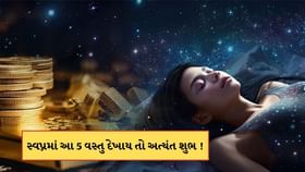 સ્વપ્નમાં આ 5 વસ્તુઓનું દેખાવવું અત્યંત શુભ ! સુખ-સમુદ્ધિ વધશે