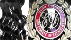 ED તપાસમાં સુંદર વાળ પાછળનો કાળો ધંધો ખુલ્યો