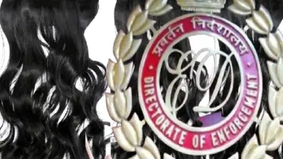 કાળા વાળનો કાળો કારોબાર, ED ની તપાસમાં બહાર આવ્યું કૌભાંડ !