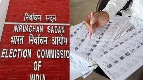 SIRની મુદત 7 દિવસ લંબાવી, ભરેલા ફોર્મ 11 ડિસે. સુધી જમા કરાવી શકશો