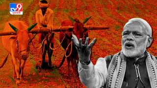 ‘PM-KISAN’નો 21મો હપ્તો જાહેર ! કરોડો ખેડૂતોને ટૂંક સમયમાં મળશે ₹2000, ફક્ત એક ક્લિકથી પહોંચશે બેંક ખાતામાં રૂપિયા