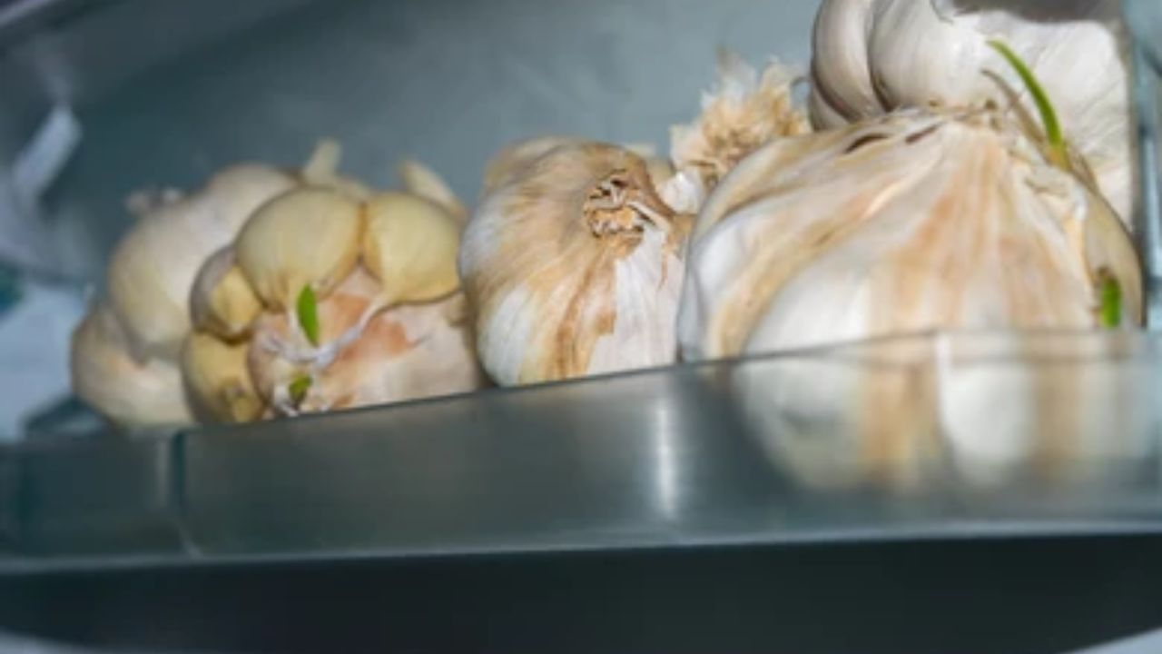 લસણ: રેફ્રિજરેટરના તાપમાનને કારણે લસણ ઝડપથી ફૂટે છે અને તેનો સ્વાદ ઓછો થાય છે. તેને સૂકા, સારી રીતે હવાની અવરજવરવાળા વિસ્તારમાં જેમ કે ટોપલી અથવા કાગળની થેલીમાં સંગ્રહિત કરો.