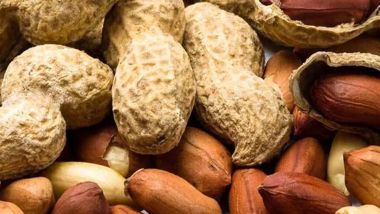 જે લોકો વજન ઘટાડવા માંગતા હોય તેમને મગફળીના ખાવી ના જોઈએ. મગફળી ખાવાથી શરીરમાં ચરબી અને કેલરી વધારે છે. વધુ પડતી મગફળી ખાવાથી વજન વધી શકે છે.