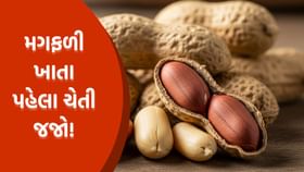 મગફળી આ લોકોએ ભૂલથી પણ ના ખાવી જોઈએ, નહિતર હોસ્પિટલ જવું પડશે !