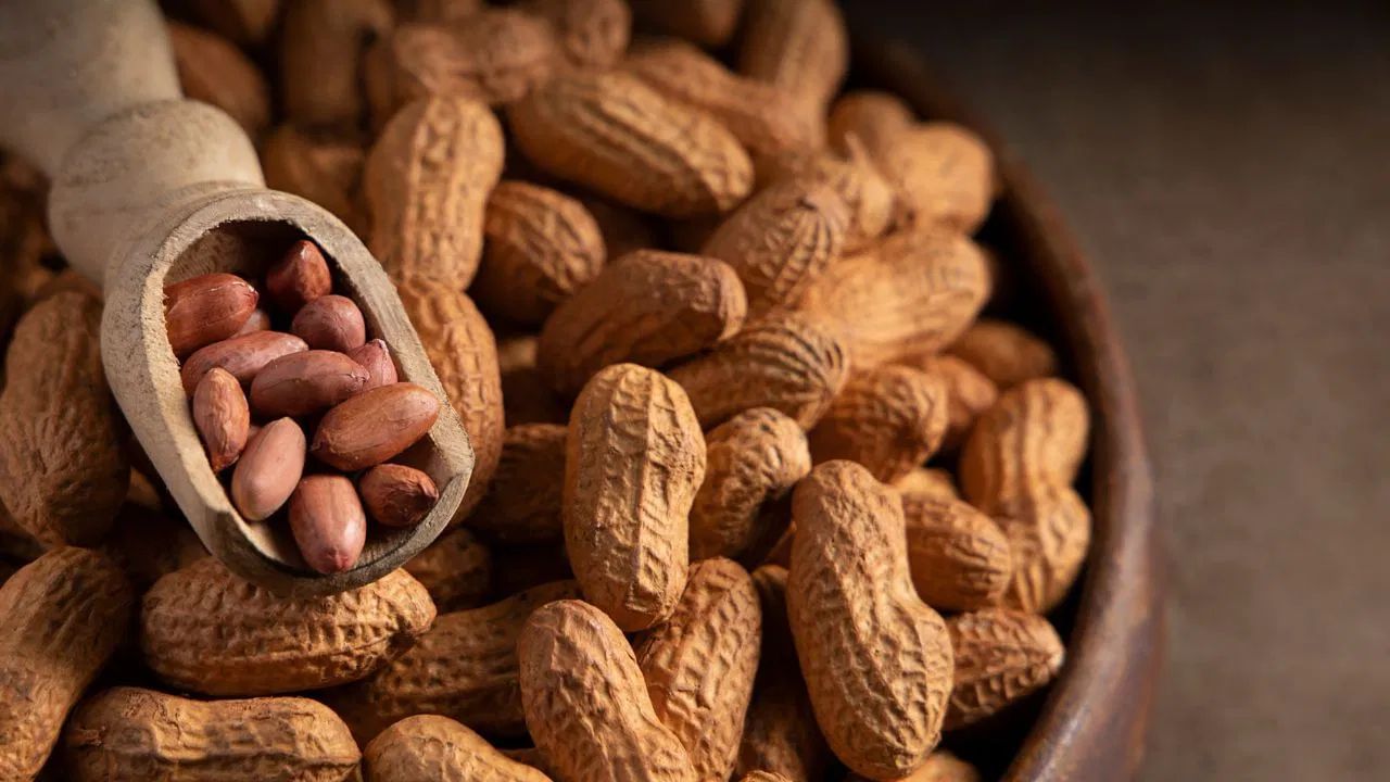 મગફળી ખાવાના ઘણા ફાયદા હોવા છતાં, તે દરેક માટે યોગ્ય નથી. કેટલાક લોકોએ મગફળી ખાવાનું ટાળવું જોઈએ, કારણ કે તે ફાયદાને બદલે નુકસાન પહોંચાડી શકે છે.