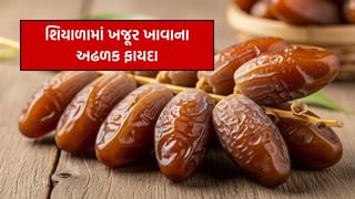 શિયાળામાં ખજૂર ખાવાના અઢળક ફાયદા જાણી, તમે પણ આજે જ ખાવાનું શરુ કરી દેશો !
