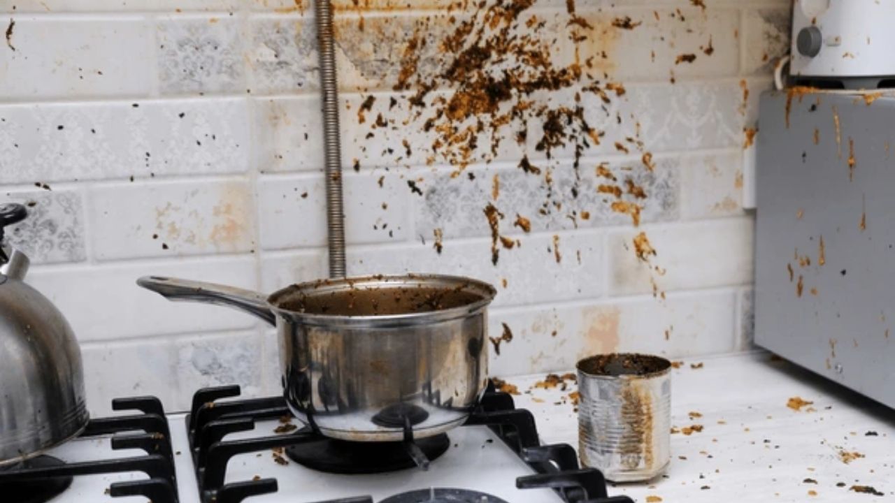 રસોડામાં કચરો ન રાખો: વાસ્તુ નિષ્ણાતોના મતે, તમારે ભૂલથી પણ રસોડામાં કચરો કે કચરો રાખવાનું ટાળવું જોઈએ. આમ કરવાથી આખા ઘરમાં નકારાત્મક ઉર્જાનો પ્રવાહ વધે છે અને વાતાવરણ ગંદુ અને પ્રદૂષિત પણ થાય છે. રસોડામાં કચરો રાખવાથી માત્ર આર્થિક નુકસાન જ થતું નથી પરંતુ તમારા સ્વાસ્થ્ય પર પણ ખરાબ અસર પડે છે. ગંભીર બીમારીઓ અને જંતુઓના ઉપદ્રવથી બચવા માટે, તમારે હંમેશા તમારા રસોડાને સ્વચ્છ રાખવું જોઈએ.