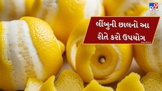 Plant In Pot : લીંબુની છાલને કચરો સમજી ફેંકી ના દેતા, આ રીતે ઉપયોગ કરો છોડ લીલોછમ રહેશે