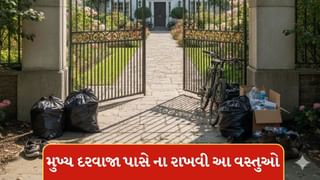 મુખ્ય દરવાજા પાસે ભૂલથી પણ ના રાખો આ વસ્તુઓ, ઘરમાં નકારાત્મકતા વધી જશે