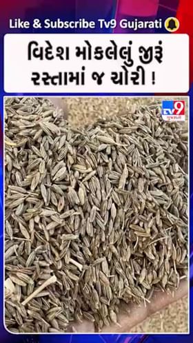 ₹ 96 લાખનું જીરૂં થયું ગાયબ.. ટ્રાન્સપોર્ટ કંપની જ નીકળી ચોર.