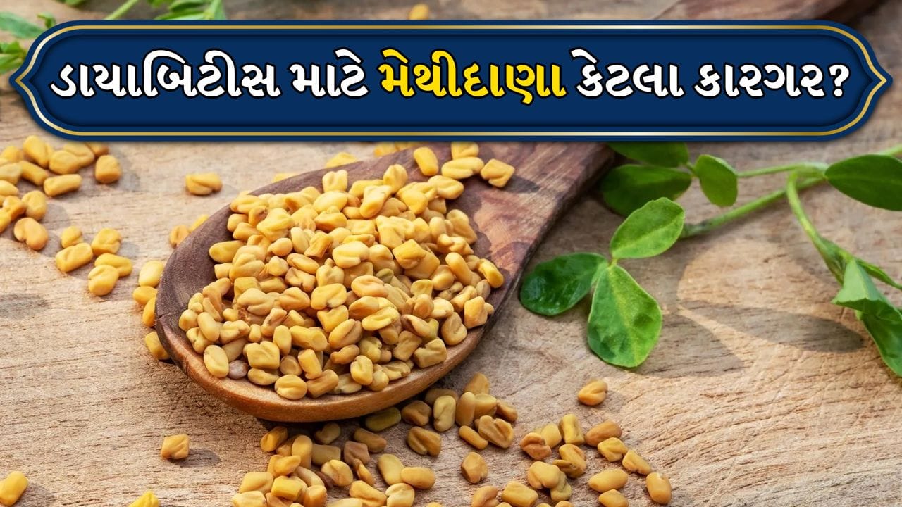 Diabetes Day: ડાયાબિટીસ પહેલા કરતાં વધુ સામાન્ય થઈ ગયું છે. વિશ્વભરમાં લાખો લોકો તેનાથી પ્રભાવિત છે. ભારતને વિશ્વની ડાયાબિટીસ રાજધાની તરીકે ઓળખવામાં આવે છે, જ્યાં ડાયાબિટીસ ધરાવતા લોકોની સંખ્યા વિશ્વમાં બીજા ક્રમે છે.
