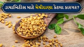 Fenugreek Seeds: શું મેથીના દાણા ખરેખર ડાયાબિટીસ માટે ફાયદાકારક છે?