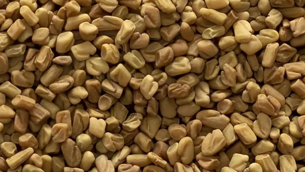 આંતરડામાં ગ્લુકોઝ શોષણ ઘટાડવું: ડાયાબિટીસ ધરાવતી વ્યક્તિ પૂરતું ઇન્સ્યુલિન ઉત્પન્ન કરતી નથી અથવા તેનો ઉપયોગ જેટલી અસરકારક રીતે કરવો જોઈએ તે રીતે કરતી નથી. આનો અર્થ એ છે કે લોહીમાં ખૂબ સુગર રહે છે, જે સમય જતાં ગંભીર સમસ્યાઓનું કારણ બની શકે છે.
