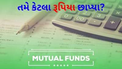 Mutual Funds: 30% થી વધુનું બમ્પર રિટર્ન! ઇક્વિટી મ્યુચ્યુઅલ ફંડ્સે 'રોકાણકારો'ને માલામાલ કર્યા, તમે કેટલા રૂપિયા કમાયા?