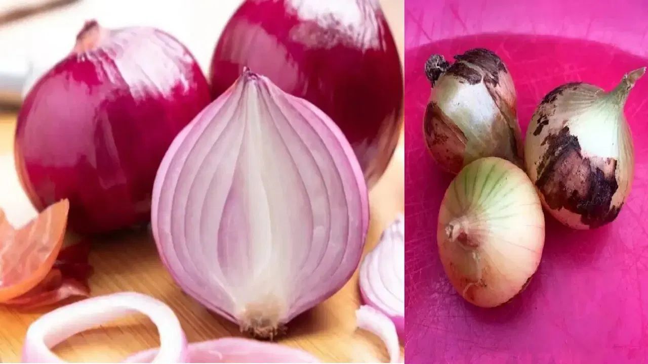 ડાયાબિટીસના દર્દીઓએ પણ આ ડાઘવાળી ડુંગળીનું સેવન કરવાનું ટાળવું જોઈએ, કારણ કે તે તેમના બ્લડ સુગર અને ચેપનું જોખમ વધારી શકે છે.