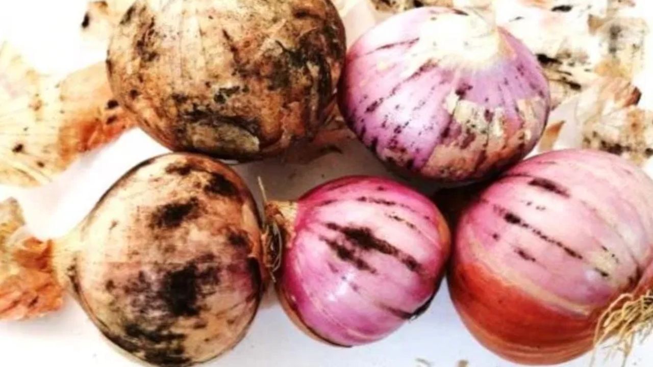 આ ફોલ્લીઓ એક ચોક્કસ પ્રકારના ફૂગના કારણે થાય છે, જે શરીરમાં પ્રવેશી શકે છે અને વિવિધ એલર્જી અને ચેપનું કારણ બની શકે છે. તેથી, કોઈપણ સ્વાસ્થ્ય જોખમોથી બચવા માટે આવા ડુંગળીને ઓળખવા અને ટાળવા ખૂબ જ મહત્વપૂર્ણ છે.