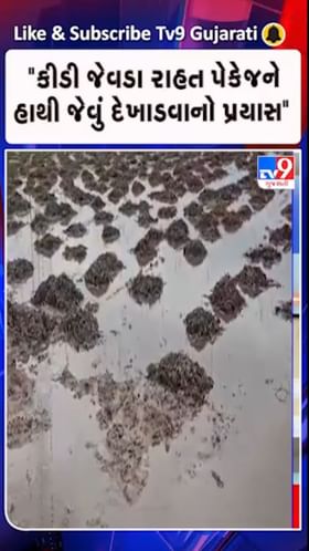 કીડી જેવડા રાહત પેકેજને હાથી જેવું દેખાડવાનો પ્રયાસ