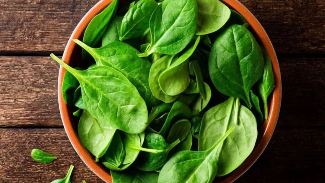  આયુર્વેદ નિષ્ણાત કિરણ ગુપ્તા જણાવ્યું કે શિયાળા દરમિયાન પાલકનો રસ પીવો ફાયદાકારક છે. પાલકમાં વિટામિન, એન્ટીઑકિસડન્ટ અને ખનિજો હોય છે, જે શરીરને અસંખ્ય ફાયદાઓ પૂરા પાડે છે. પાલકના રસમાં આદુ ઉમેરવાથી તેના પોષણ મૂલ્યમાં વધારો થાય છે.