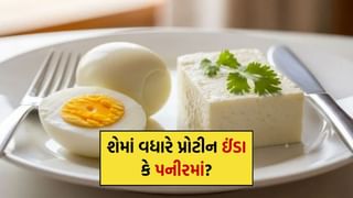 Egg vs Paneer : ઈંડા કે પનીર ? પ્રોટીન માટે બે માંથી કયો ખોરાક છે તમારા માટે સુપરફૂડ, જાણો તુલના