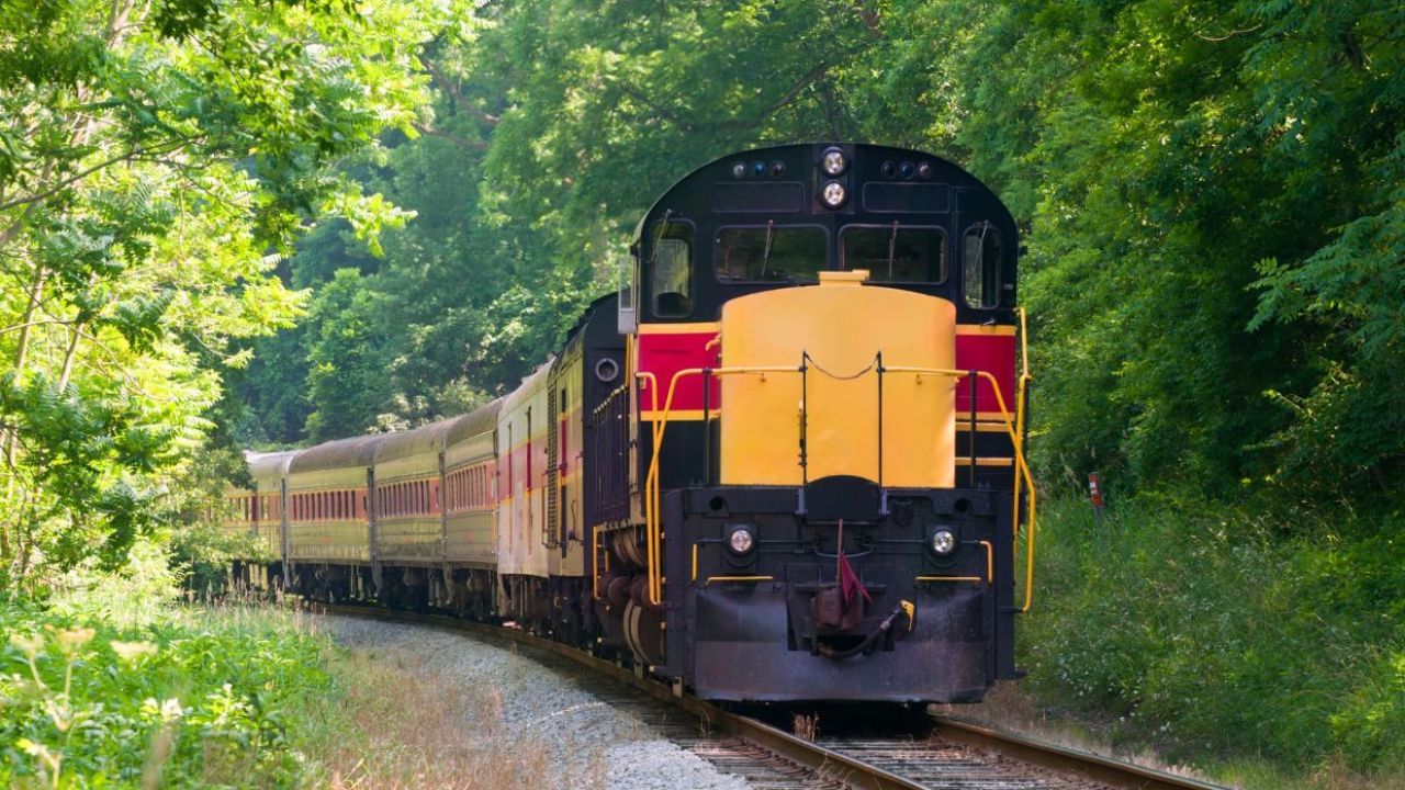 ભારતીય રેલવેમાં એક લૂપ લાઇન 650 મીટર લાંબી હોય છે. આ એક એવી લાઇન છે જ્યાં એક જ રૂટ પર મુસાફરી કરતી બે ટ્રેનોમાંથી એક બીજી ટ્રેન પસાર થાય ત્યાં સુધી લૂપ પર રાહ જુએ છે.