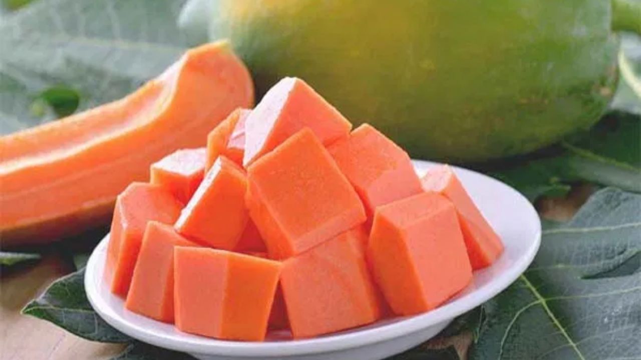 ત્વચા: પપૈયામાં વિટામિન A, C અને E ભરપૂર માત્રામાં હોય છે, જે ત્વચાને અંદરથી ચમકતી રાખવામાં મદદ કરે છે. સૂતા પહેલા પપૈયું ખાવાથી શરીરમાં રહેલ ટોક્સિન્સ બહાર નીકળી જાય છે, જેનાથી ખીલ અને ડાઘ ઓછા થાય છે. ત્વચા સંબંધિત સમસ્યાઓમાં રાહત મેળવવા માટે પપૈયાનું સેવન કરવું ખૂબ જ જરૂરી છે.