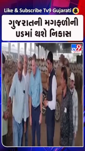 માવઠાના માર વચ્ચે ખેડૂતો માટે ખુશખબર !