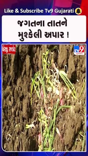 સતત બદલાતા વાતાવરણે ખેડૂતોને રડાવ્યાં