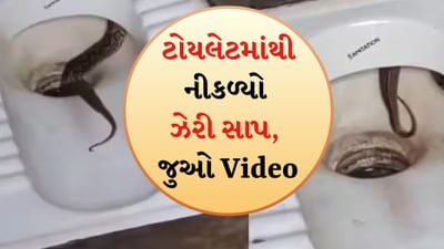 લઘુશંકા કરતી વખતે ધ્યાન રાખજો, ટોયલેટમાંથી નીકળ્યો સાપ, Video થયો Viral