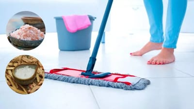 વાસ્તુ અનુસાર, દરરોજ મીઠાના પાણીથી ઘરમાં પોતુ મારવું ખૂબ જ શુભ માનવામાં આવે છે. આમ કરવાથી જીવનમાં સકારાત્મક ફેરફારો અને ફાયદા થાય છે. આ વિશે જાણો.