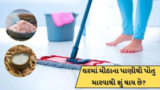 ઘરમાં મીઠાના પાણીથી પોતુ મારવાથી શું થાય છે? જાણો વાસ્તુ નિયમ