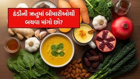 ઠંડીની ઋતુમાં બીમારીઓથી બચવા માંગો છો? આ ખાસ સુપરફૂડ્સ છે રામબાણ ઇલાજ