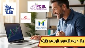 રુ 350ના શેરમાં થઈ શકે છે 600 રુપિયા સુધીનો વધારો, કમાણી કરાવશે આ શેર