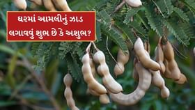 ઘરમાં આમલીનું ઝાડ લગાવવું શુભ છે કે અશુભ? જાણો વાસ્તુ નિયમ