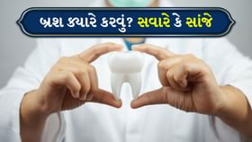 Oral Health: સવારે કે સાંજે ક્યારે દાંત સાફ કરવા વધુ સારું છે?