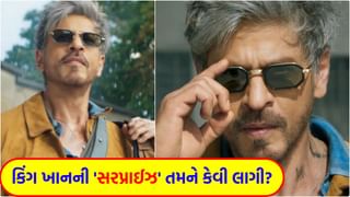 Shah Rukh Khan: ડર નહીં, હું તો દહેશત છું…બાદશાહે ‘બર્થ ડે’ના દિવસે જ આખું બોલિવુડ ગજાવ્યું, તેની એક સરપ્રાઈઝથી તૂટશે અનેક રેકોર્ડ