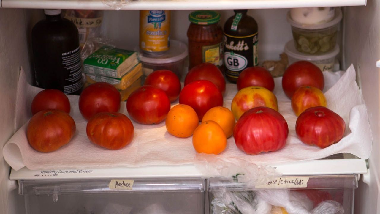 ટામેટાં: પાકા ટામેટાંને રેફ્રિજરેટરમાં રાખવાથી તે તેમનો સ્વાદ ગુમાવી શકે છે અને નરમ અથવા દાણાદાર બની શકે છે. તેથી તેમને ઠંડા, સારી રીતે હવાની અવરજવરવાળા વિસ્તારમાં સંગ્રહિત કરો. જેથી તેઓ કુદરતી રીતે પાકી શકે. તેથી જો તમે આ વસ્તુઓને રેફ્રિજરેટરમાં સંગ્રહિત કરી રહ્યા છો તો તેમને બહાર સંગ્રહિત કરવાનું વિચારો. આ તેમનો સ્વાદ સાચવશે અને તેમને ઝડપથી બગડતા અટકાવશે.