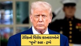 ટ્રમ્પે ટેરિફનો વિરોધ કરનારાઓને 