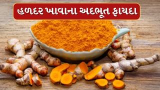 Turmeric Benefits : હળદરનું નિયમિત સેવન કરવાથી થાય છે અઢળક ફાયદા, જાણો