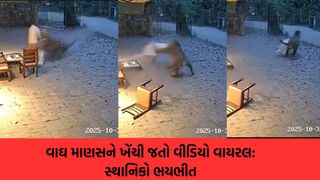 Fact Check : માણસને ખેંચી જતા વાઘનો વીડિયો વાયરલ; સ્થાનિકો ભયભીત, આ ઘટનાની સત્યતા જાણો