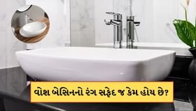 વોશ બેસિન હંમેશા સફેદ રંગનું જ કેમ હોય છે? કારણ જાણી ચોંકી જશો