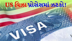 વિઝા ધારકો માટે મોટા સમાચાર! ગૂગલ અને એપલે મહત્વપૂર્ણ જાહેરાત કરી