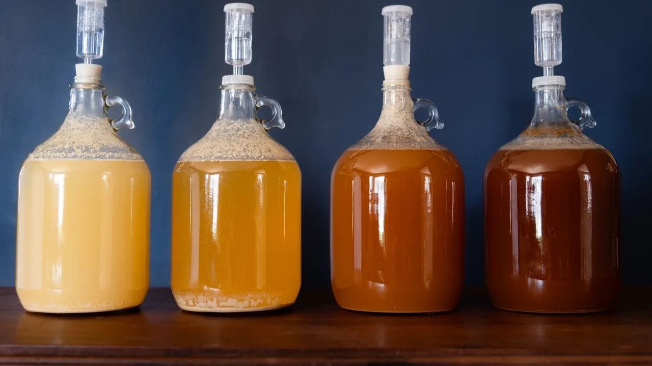 સાઇડર સામાન્ય રીતે સફરજનના રસને આથો આપીને બનાવવામાં આવે છે. કેટલાક પ્રદેશોમાં, તે નાશપતીમાંથી પણ બનાવવામાં આવે છે, જેને પેરી કહેવામાં આવે છે. સાઇડર મીઠો અથવા સૂકો હોઈ શકે છે, અને તે સ્ટીલ અને સ્પાર્કલિંગ બંને જાતોમાં આવે છે. (Image Credit: Google)